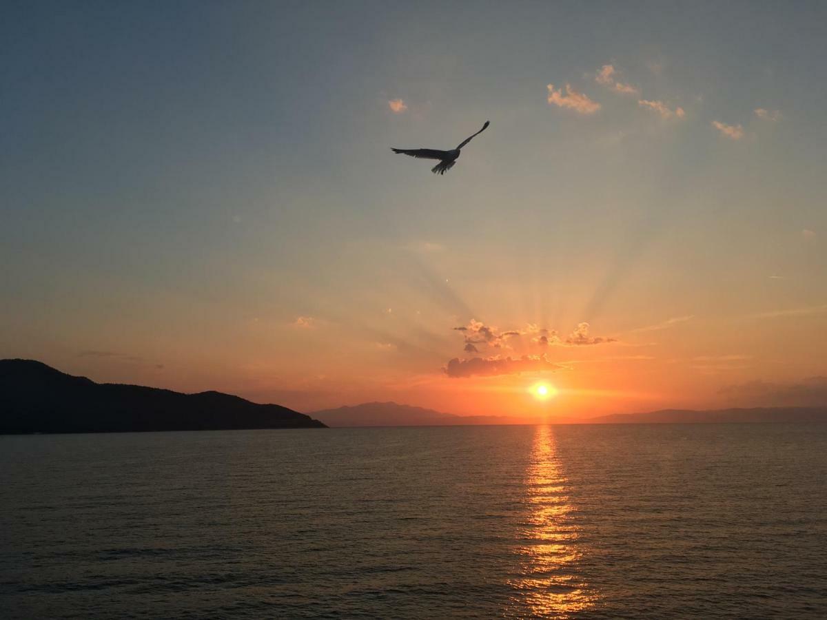 Meropi Studios Thassos Exteriör bild